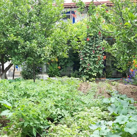 Hostel Ege *