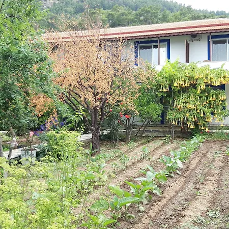Hostel Ege *
