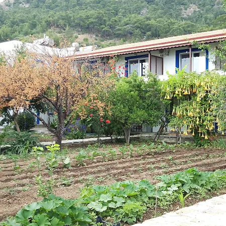 Ege Hostel Αλικαρνασσός