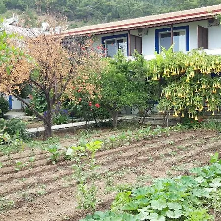 Ege